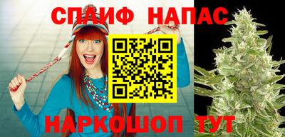 гидра Чебоксары